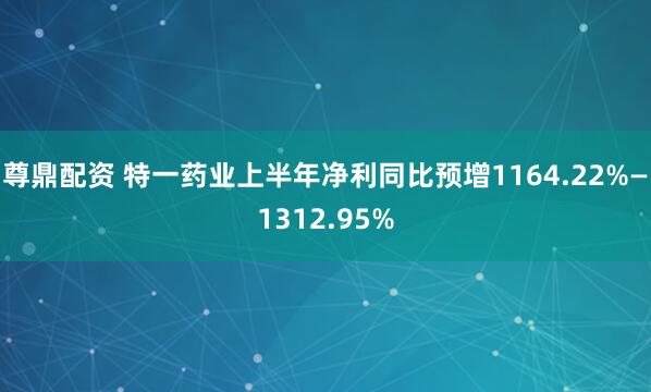 尊鼎配资 特一药业上半年净利同比预增1164.22%—1312.95%