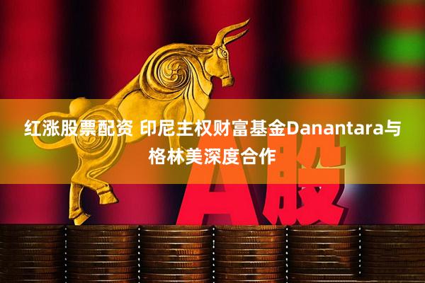 红涨股票配资 印尼主权财富基金Danantara与格林美深度合作