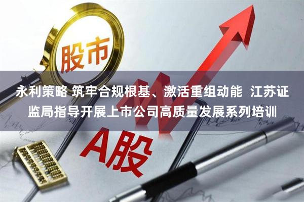 永利策略 筑牢合规根基、激活重组动能  江苏证监局指导开展上市公司高质量发展系列培训