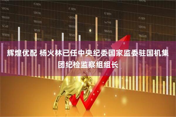 辉煌优配 杨火林已任中央纪委国家监委驻国机集团纪检监察组组长