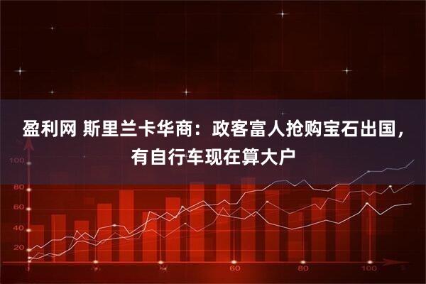 盈利网 斯里兰卡华商：政客富人抢购宝石出国，有自行车现在算大户