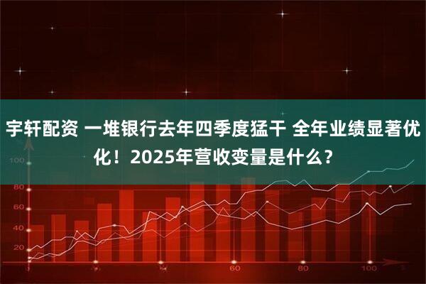 宇轩配资 一堆银行去年四季度猛干 全年业绩显著优化！2025年营收变量是什么？