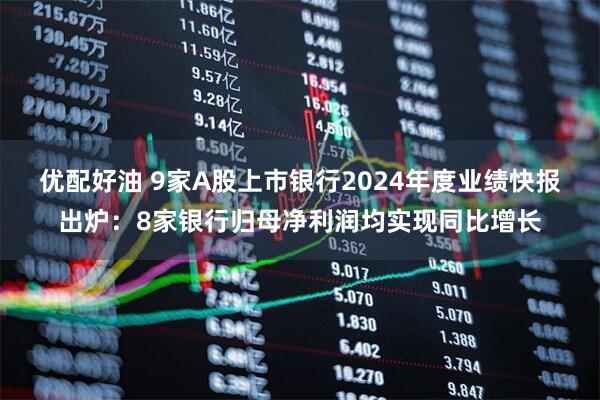 优配好油 9家A股上市银行2024年度业绩快报出炉：8家银行归母净利润均实现同比增长