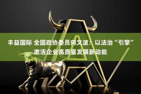 丰益国际 全国政协委员向文波：以法治“引擎”激活企业高质量发展新动能