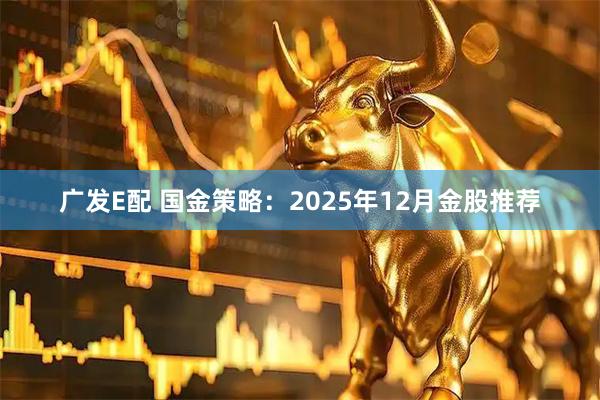 广发E配 国金策略：2025年12月金股推荐
