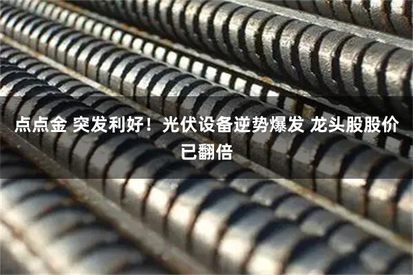 点点金 突发利好！光伏设备逆势爆发 龙头股股价已翻倍