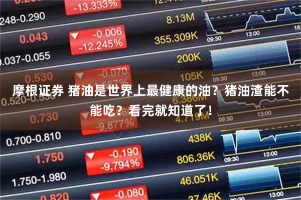 摩根证券 猪油是世界上最健康的油？猪油渣能不能吃？看完就知道了！