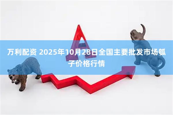 万利配资 2025年10月28日全国主要批发市场瓠子价格行情